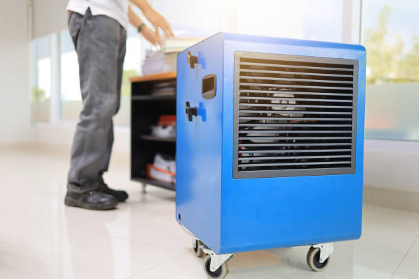  Gresham, OR Mold Removal Pros