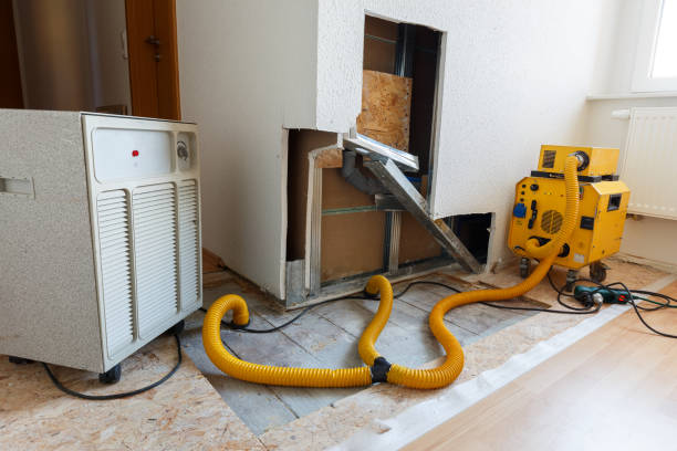 Best Commercial Mold Inspection  in Gresham, OR