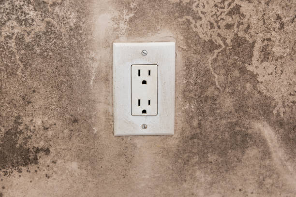 Best Mold Removal for HVAC Installations  in Gresham, OR
